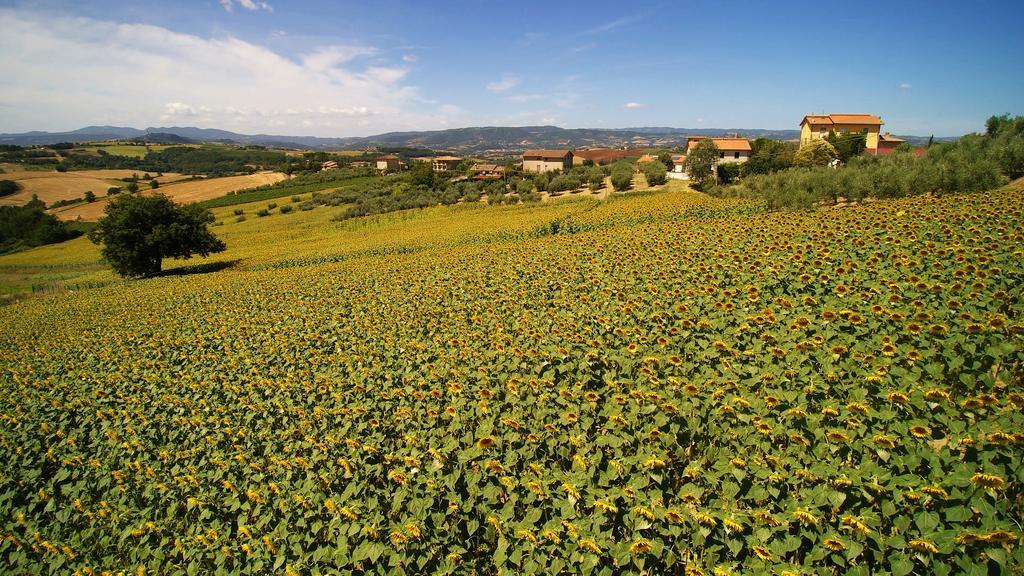 Colle San Giovanni Todi Eksteriør billede